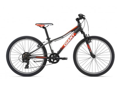 Велосипед 24" GIANT XTC JR 2 (2019) Велосипед 24" GIANT XTC JR 2 (2019)